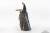 Pure Arts Assassins Creed - Naoe - Replica 1/1 Hidden Blade