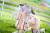 Phat! Original Character - Shion Blankness - Cow Bikini Ver. 15 cm
