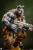 Premium Collectibles Studio Teenage Mutant Ninja Turtles Legends - Rocksteady - Statue 1/3 Scale