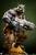 Premium Collectibles Studio Teenage Mutant Ninja Turtles Legends - Rocksteady - Statue 1/3 Scale