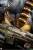 Premium Collectibles Studio Teenage Mutant Ninja Turtles Legends - Rocksteady - Statue 1/3 Scale