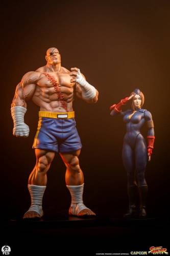 Premium Collectibles Studio Street Fighter - Sagat & Juli - Street Jam Statue Set 1/10 #24cm