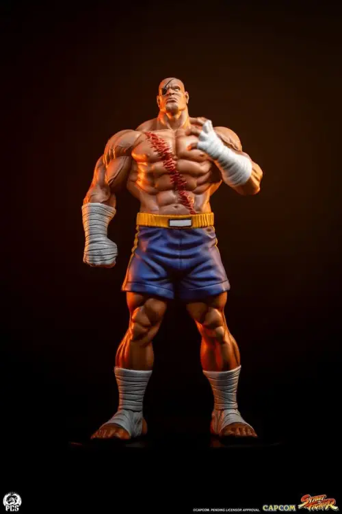 Premium Collectibles Studio Street Fighter - Sagat & Juli - Street Jam Statue Set 1/10 #24cm