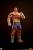 Premium Collectibles Studio Street Fighter - Sagat & Juli - Street Jam Statue Set 1/10 #24cm