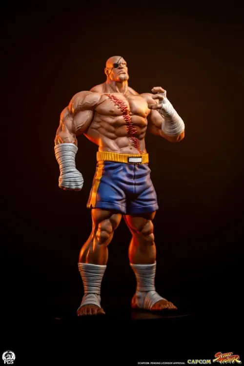Premium Collectibles Studio Street Fighter - Sagat & Juli - Street Jam Statue Set 1/10 #24cm
