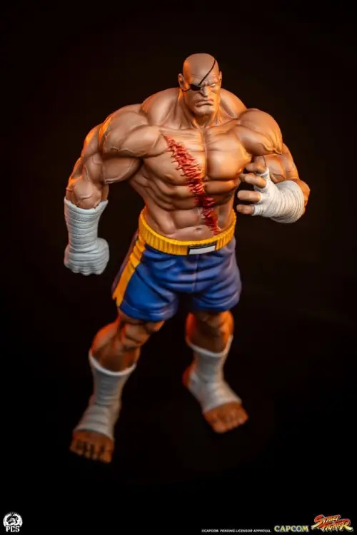 Premium Collectibles Studio Street Fighter - Sagat & Juli - Street Jam Statue Set 1/10 #24cm