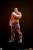 Premium Collectibles Studio Street Fighter - Sagat & Juli - Street Jam Statue Set 1/10 #24cm