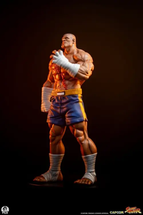 Premium Collectibles Studio Street Fighter - Sagat & Juli - Street Jam Statue Set 1/10 #24cm
