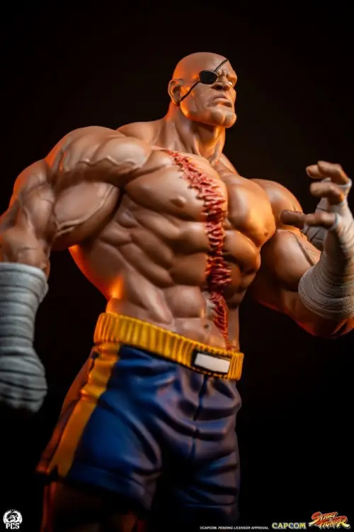 Premium Collectibles Studio Street Fighter - Sagat & Juli - Street Jam Statue Set 1/10 #24cm