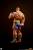 Premium Collectibles Studio Street Fighter - Sagat & Juli - Street Jam Statue Set 1/10 #24cm