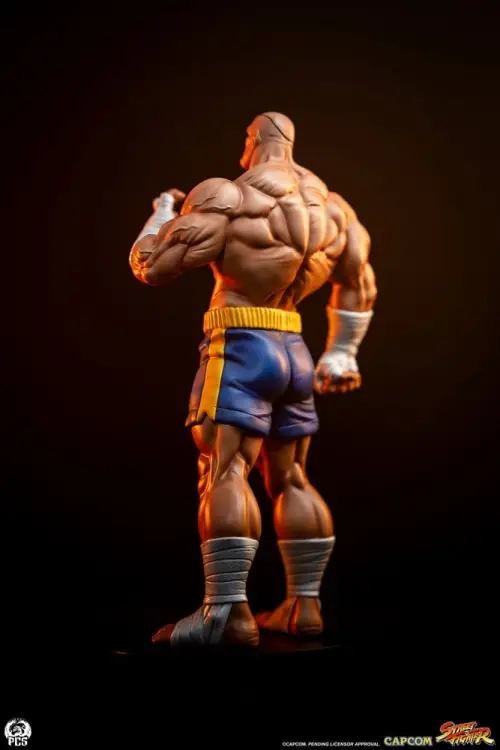Premium Collectibles Studio Street Fighter - Sagat & Juli - Street Jam Statue Set 1/10 #24cm