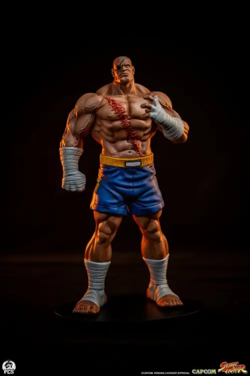 Premium Collectibles Studio Street Fighter - Sagat & Juli - Street Jam Statue Set 1/10 #24cm