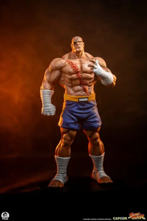Premium Collectibles Studio Street Fighter - Sagat & Juli - Street Jam Statue Set 1/10 #24cm