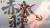 Max Factory ZEN OF Collectible - CD-AS-03DX Guardian - Model Kit 21cm