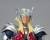 Bandai Tamashii Nations Saint Seiya - Beta Merak Hagen - Saint Cloth Myth EX 40th Anniversary Ver. (18 cm)