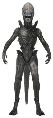 NECA Alien: Earth - Xenomorph Wendy - Ultimate Action Figure #18cm
