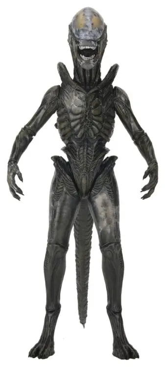 NECA Alien: Earth - Xenomorph Wendy - Ultimate Action Figure #18cm