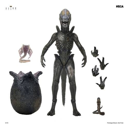 NECA Alien: Earth - Xenomorph Wendy - Ultimate Action Figure #18cm
