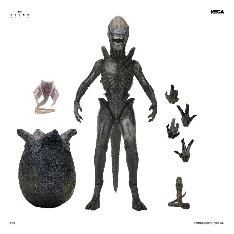 NECA Alien: Earth - Xenomorph Wendy - Ultimate Action Figure #18cm