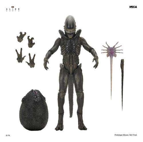 NECA Alien: Earth - Xenomorph - Ultimate Action Figure #18cm
