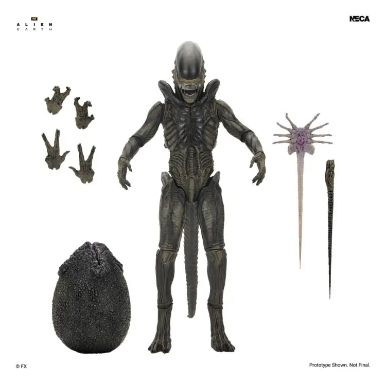NECA Alien: Earth - Xenomorph - Ultimate Action Figure #18cm