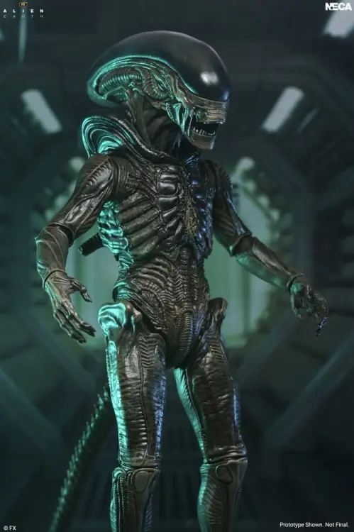 NECA Alien: Earth - Xenomorph - Ultimate Action Figure #18cm