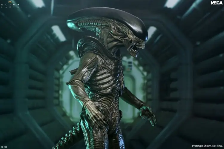 NECA Alien: Earth - Xenomorph - Ultimate Action Figure #18cm