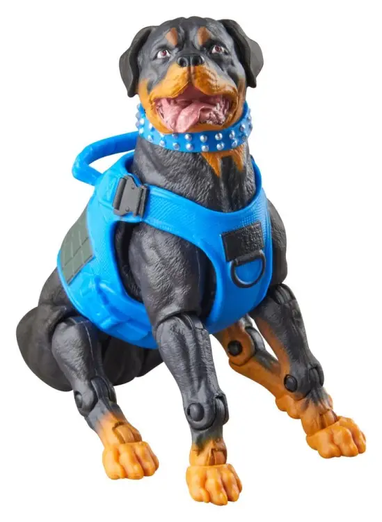 Hasbro G.I. Joe Classified Series - Mad Marauders: Footloose, Mutt & Junkyard #220