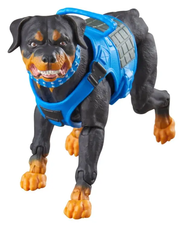 Hasbro G.I. Joe Classified Series - Mad Marauders: Footloose, Mutt & Junkyard #220