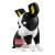 JOJO PART 3 - Iggy - Figurka Sofvimates 15 cm