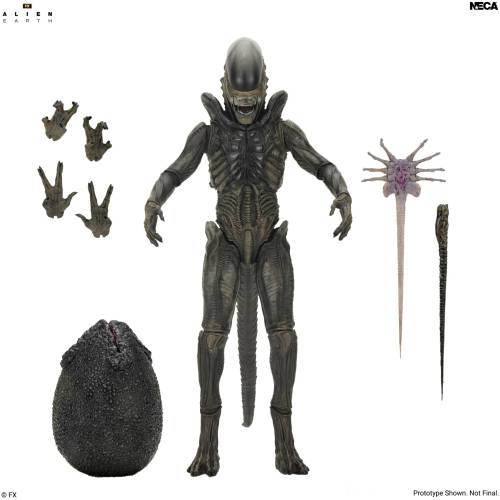Neca Alien - Xenomorph - Ultimate Alien Earth Figurka