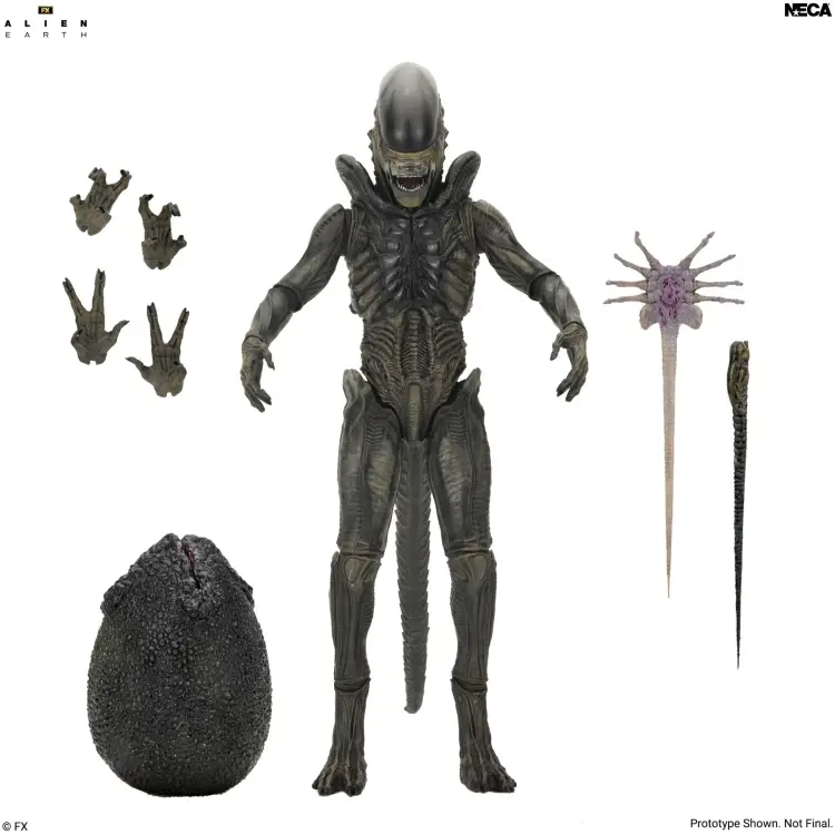 Neca Alien - Xenomorph - Ultimate Alien Earth Figurka