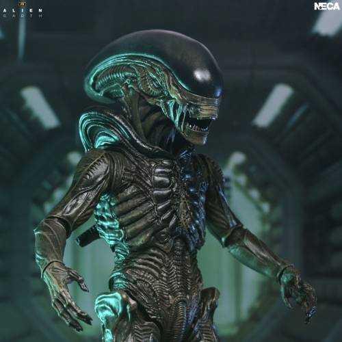 Neca Alien - Xenomorph - Ultimate Alien Earth Figurka