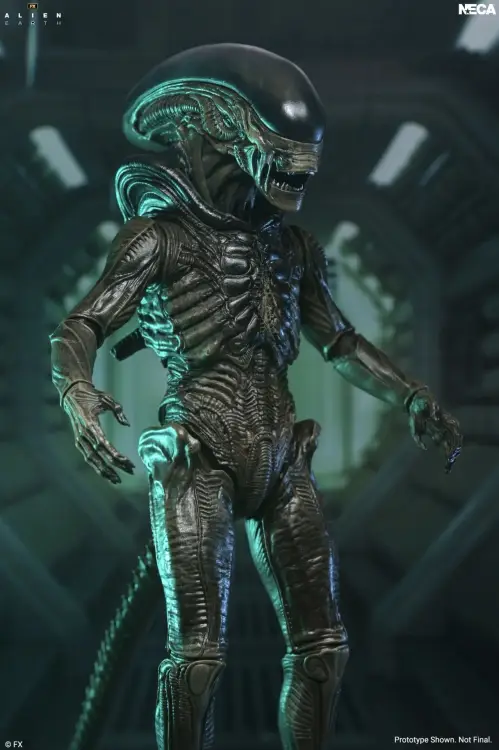Neca Alien - Xenomorph - Ultimate Alien Earth Figurka