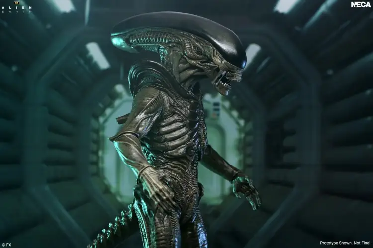 Neca Alien - Xenomorph - Ultimate Alien Earth Figurka