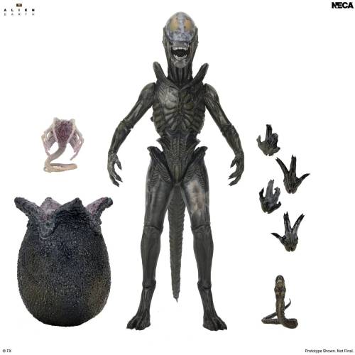 Neca Alien - Wendy Xenomorph - Ultimate Figurka 17cm
