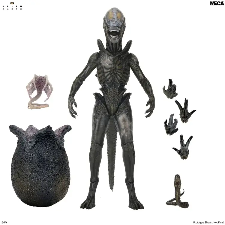 Neca Alien - Wendy Xenomorph - Ultimate Figurka 17cm