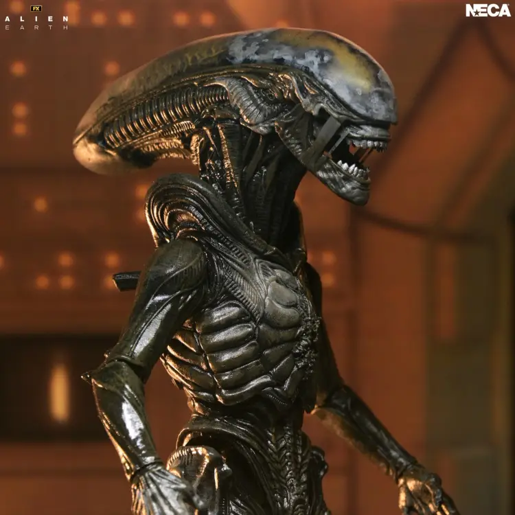 Neca Alien - Wendy Xenomorph - Ultimate Figurka 17cm