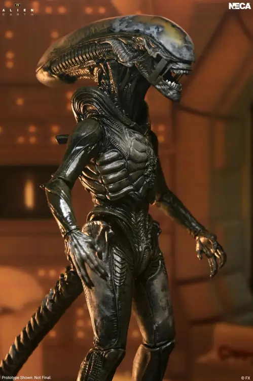 Neca Alien - Wendy Xenomorph - Ultimate Figurka 17cm