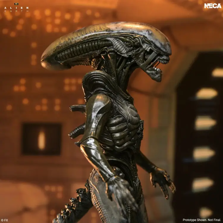Neca Alien - Wendy Xenomorph - Ultimate Figurka 17cm