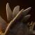 Iron Studios - The Lost World: Jurassic Park Icons Statue Stegosaurus 18 cm