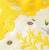 Benelic - My Neighbor Totoro - Corn and Totoro - Mini Towel 25x25cm