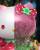 Mighty Jaxx Sanrio - Hello Kitty - Floral Daydream