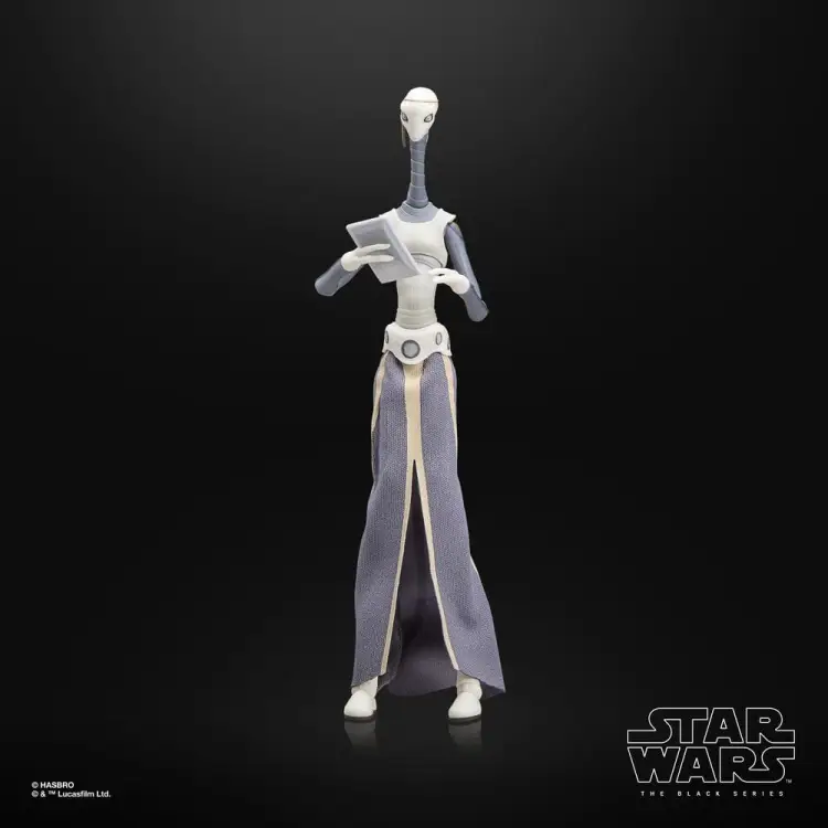 Hasbro Star Wars The Black Series - Taun We
