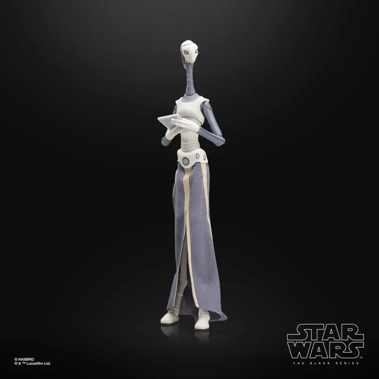 Hasbro Star Wars The Black Series - Taun We
