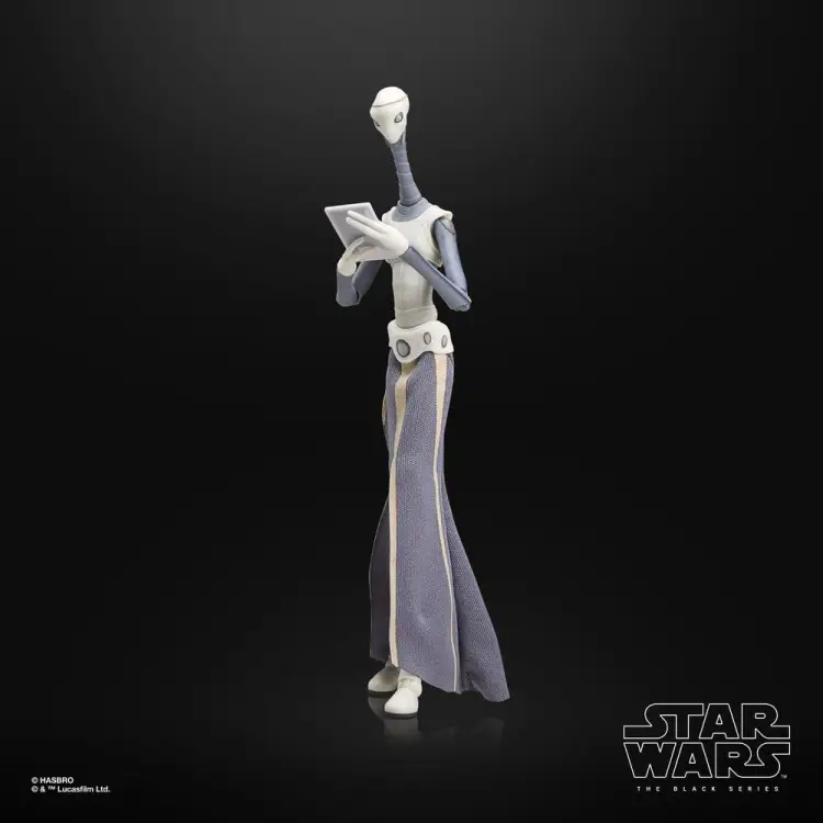 Hasbro Star Wars The Black Series - Taun We