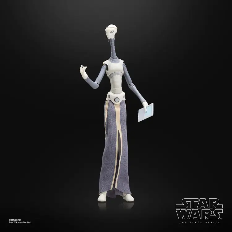 Hasbro Star Wars The Black Series - Taun We