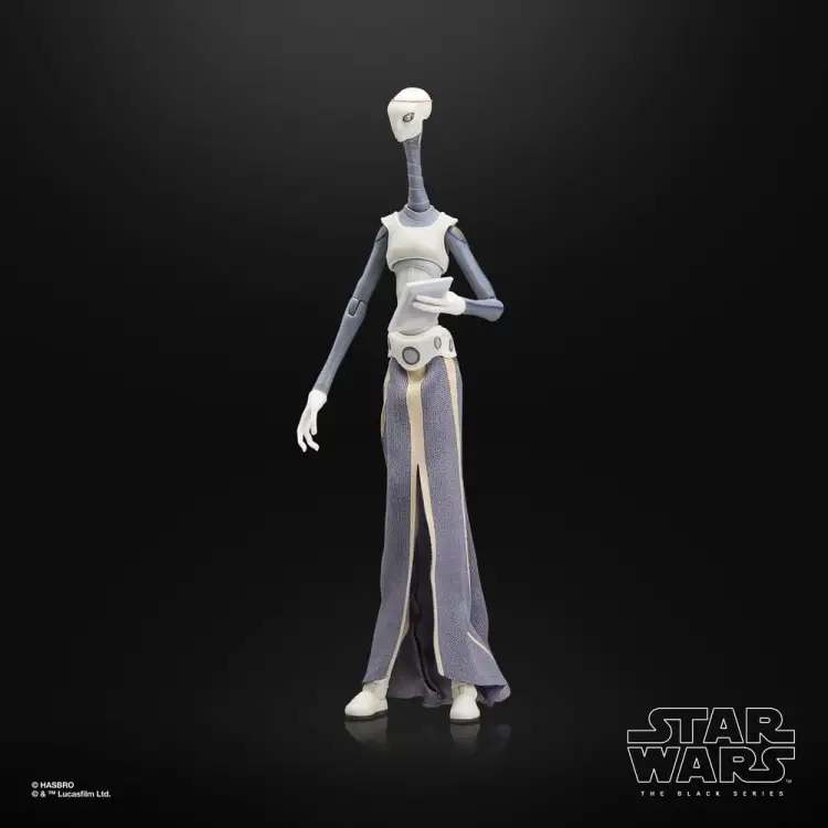 Hasbro Star Wars The Black Series - Taun We