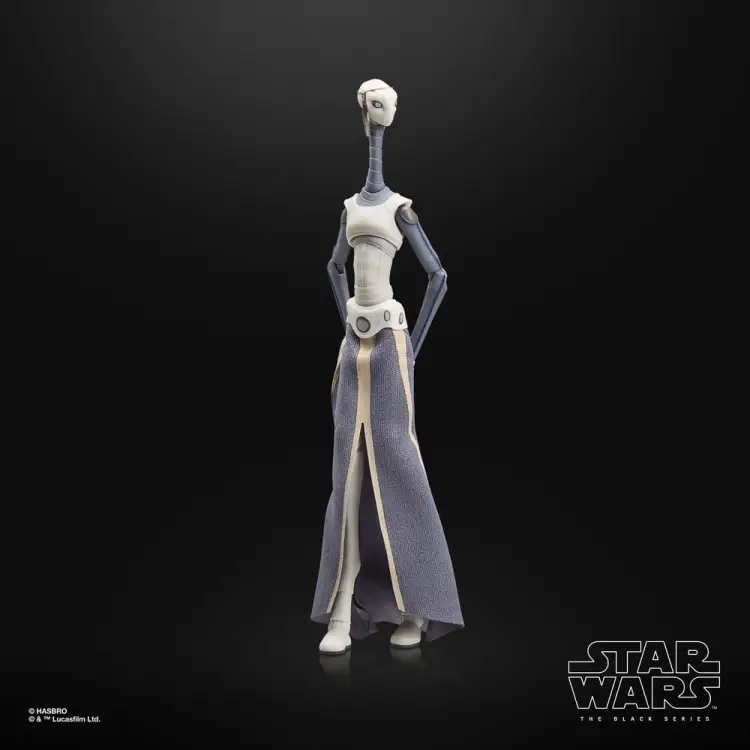 Hasbro Star Wars The Black Series - Taun We