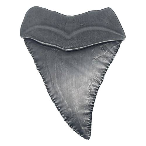 FaNaTtik Jaws - Medallion 50th Anniversary Shark Tooth